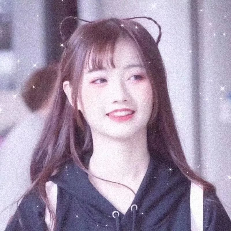 小姐与流氓2:狗儿逃家记 封面